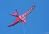 Drachenfest Fliegergruppe Grabenstetten-Teck-Lenninger Tal e.V. 23.09.2017