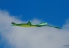 Drachenfest Fliegergruppe Grabenstetten-Teck-Lenninger Tal e.V. 23.09.2017