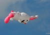 Drachenfest Fliegergruppe Grabenstetten-Teck-Lenninger Tal e.V. 23.09.2017