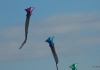 Drachenfest Fliegergruppe Grabenstetten-Teck-Lenninger Tal e.V. 23.09.2017
