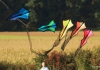 Drachenfest Fliegergruppe Grabenstetten-Teck-Lenninger Tal e.V. 23.09.2017