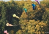 Drachenfest Fliegergruppe Grabenstetten-Teck-Lenninger Tal e.V. 23.09.2017