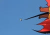 Drachenfest Fliegergruppe Grabenstetten-Teck-Lenninger Tal e.V. 23.09.2017