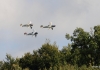 Flugplatzfest Laichingen 10.09.2017