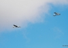 Flugplatzfest Laichingen 10.09.2017