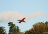 Flugplatzfest Laichingen 10.09.2017