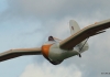 Flugplatzfest Mühlacker-Dürrmenz 17.09.2017