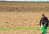Flugplatzfest Mühlacker-Dürrmenz 17.09.2017