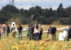 Flugplatzfest Mühlacker-Dürrmenz 17.09.2017