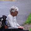 Haupt- und Landgestüt Marbach 03.08.2017