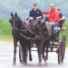 Haupt- und Landgestüt Marbach 03.08.2017