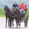 Haupt- und Landgestüt Marbach 03.08.2017