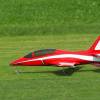 Modell-Flugschau Sport- und Segelfliegerclub Bad Waldsee- Reute e.V.