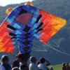 12. Laichinger Drachenfest