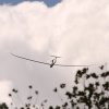 Hahnweide-Segelflugwettbewerb 2012