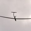 Hahnweide-Segelflugwettbewerb 2012