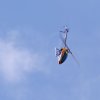 BaWue Airgames 2012