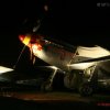 1dfh-mustang-nacht-hahnweide-2007