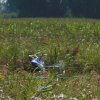 Airmeet Genderkingen 12