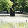 Echaz Hochwasser Pfullingen 02.06.2013