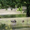 Echaz Hochwasser Pfullingen 02.06.2013