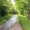 Echaz Hochwasser Pfullingen 02.06.2013