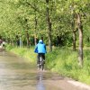 Echaz Hochwasser Pfullingen 02.06.2013