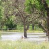 Echaz Hochwasser Pfullingen 02.06.2013