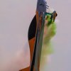1dfh-horizon-airmeet-13-177