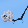 Garten 10.04.2014