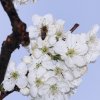 Garten 10.04.2014