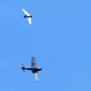 7. Warbirdtreffen / Flugtag MFC-Oberhausen e.V. 2014