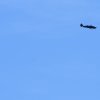 7. Warbirdtreffen / Flugtag MFC-Oberhausen e.V. 2014