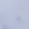 Flugplatzfest Fliegergruppe Hülben e.V. 2014