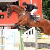 Reitturnier Pfullingen 17.08.2014