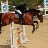 Reitturnier Pfullingen 17.08.2014