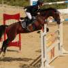 Reitturnier Pfullingen 17.08.2014