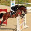 Reitturnier Pfullingen 17.08.2014