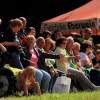 Reitturnier Pfullingen 17.08.2014