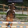Reitturnier Pfullingen 17.08.2014