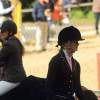Reitturnier Pfullingen 17.08.2014