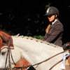 Reitturnier Pfullingen 17.08.2014