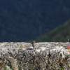 Uracher Wasserfall und Festung Hohenurach