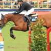 CHI Donaueschingen 2014