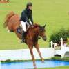 CHI Donaueschingen 2014