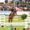 CHI Donaueschingen 2014