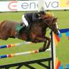 CHI Donaueschingen 2014
