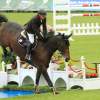 CHI Donaueschingen 2014