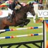 CHI Donaueschingen 2014