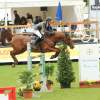 CHI Donaueschingen 2014
